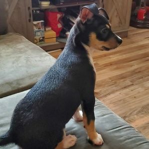 Meet your Posher, Marco